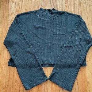 Aritzia sweater